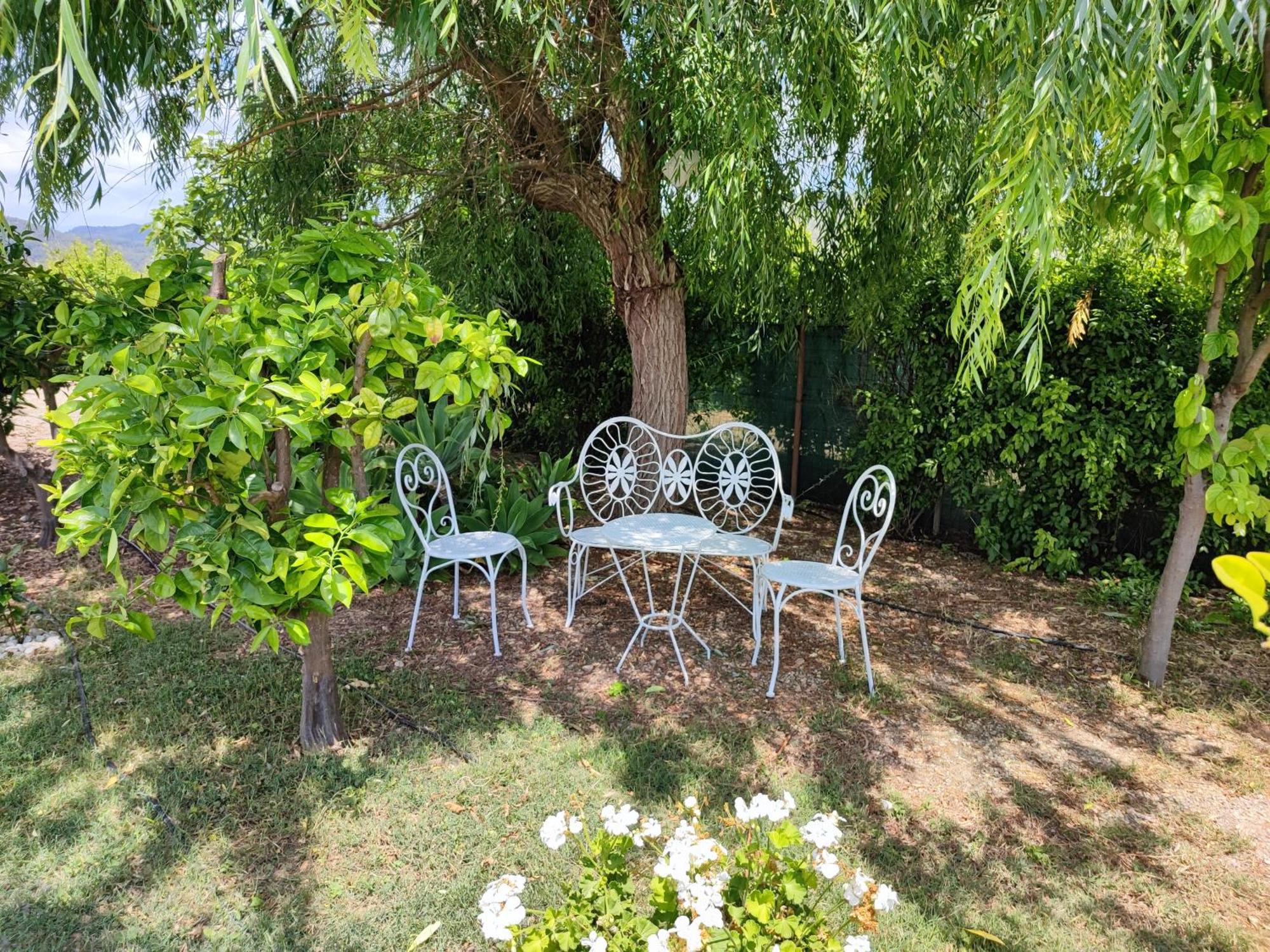 Els Tarongers Perfect For Families Or Friends Villa Sa Pobla Exterior photo